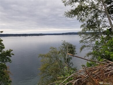 8210 128th Ave Ct, Anderson Island, WA 98303 - photo 7