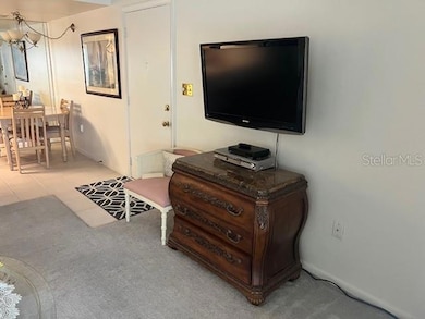 4758 Jasper Dr unit 206, New Port Richey, FL 34652 - photo 3