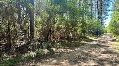 84251 Press Sharp Rd, Bush, LA 70431 - photo 3