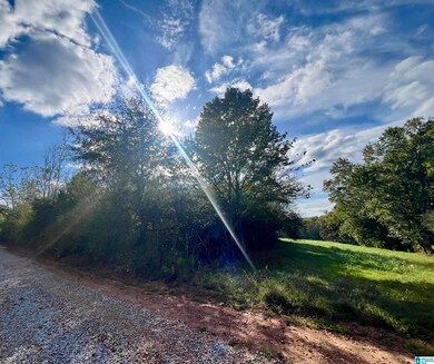 0 County Road 504 unit 21433250, Graham, AL 36263 - photo 3