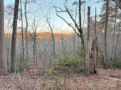 0 Polk County Line Rd unit CAR4322690, Rutherfordton, NC 28139 - photo 3