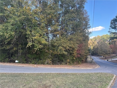 Lot 88 Cypress Creek Ave E, Tuscaloosa, AL 35405 - photo 3