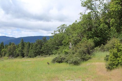 1816 Caves Hwy, Cave Junction, OR 97523 - photo 6