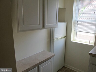 19 W Mulberry St, Baltimore, MD 21201 - photo 3