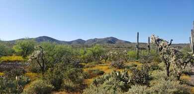 Amazing Desert Views