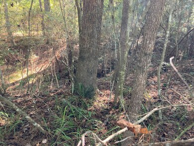 813 E Brenda Ln, Magnolia, TX 77354 - photo 7