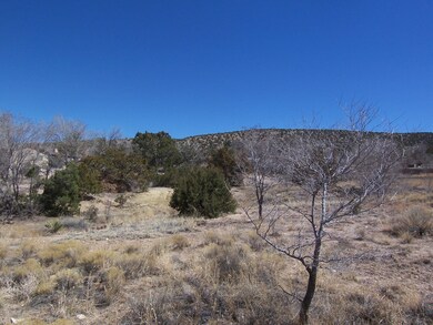 9 Camino de La Ciruela, Placitas, NM 87043 - photo 3