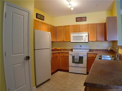 633 Appeldoorn Cir unit 633, Asheville, NC 28803 - photo 6