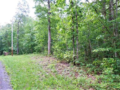 Lot 43 Whippoorwill Ln, 4, Newport, VA 22835 - photo 4