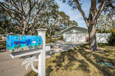 969 Gulf View Blvd, Dunedin, FL 34698 - photo 6