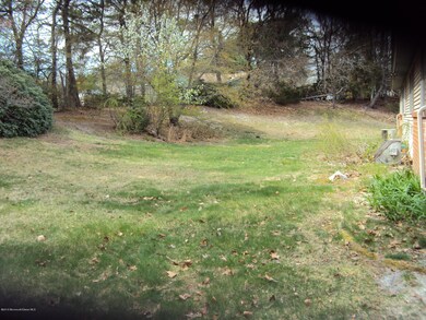 DSC03537