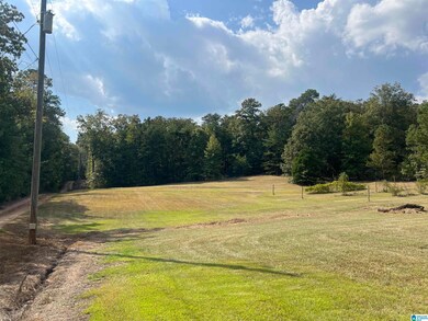 6809 Lou George Loop, Bessemer, AL 35022 - photo 7