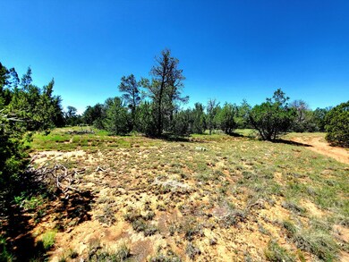 8571 Haven Crest Dr, Blue Ridge, AZ 86024 - photo 6