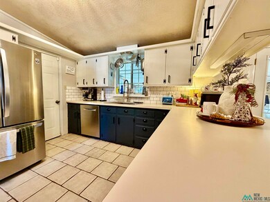 1215 Bryan Cir, Carlsbad, NM 88220 - photo 6