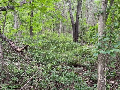 82 Sutton Rd, Webster, MA 01570 - photo 7