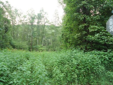 3-DSC00003