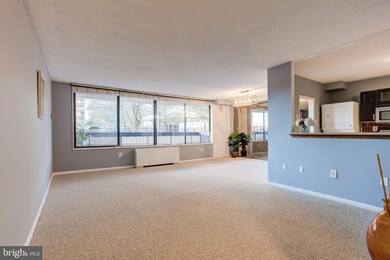 Skyline Plaza unit 116N, Baileys Crossroads, VA 22041 - photo 2