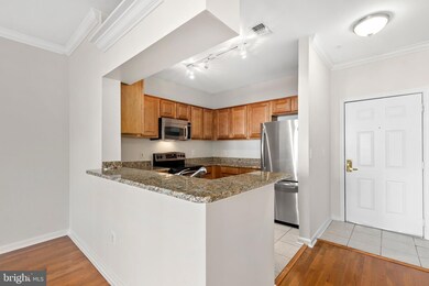 4551 Strutfield Ln unit 4312, Alexandria, VA 22311 - photo 5