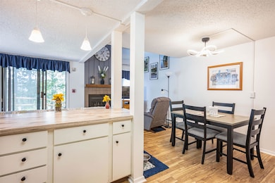 1 Hawthorn Trail unit 1, Wisconsin Dells, WI 53965 - photo 6