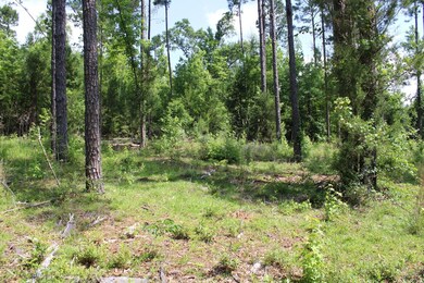 0 N Old Us Rd unit 23669197, Marianna, FL 32447 - photo 7