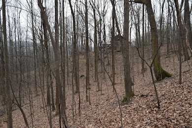 0 Hickory Falls Rd unit 920645, Blue Ridge, VA 24064 - photo 7