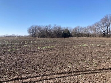 TBD County Rd 4142, Bonham, TX 75418 - photo 7