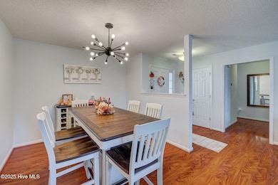 413 Point View Ct, Wilmington, NC 28411 - photo 5