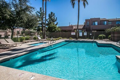 Backs to the Pool