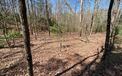 0 Hiawassee Ct unit 323830, Ellijay, GA 30540 - photo 7