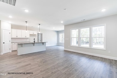 218 Fish Camp Dr, Wendell, NC 27591 - photo 5