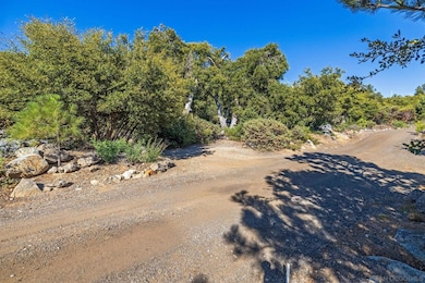 35925 Mountain Circle Dr unit 37, Julian, CA 92036 - photo 4