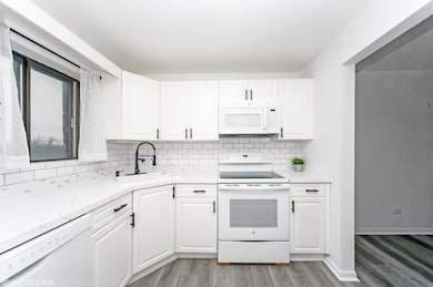 960 S River Rd unit 412, Des Plaines, IL 60016 - photo 6