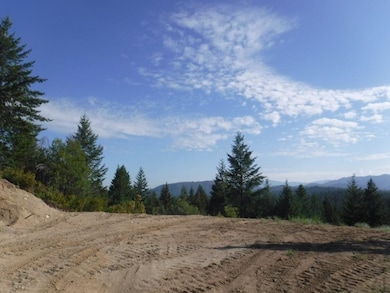 Lot 1 SW Moose Ridge Way, Loon Lake, WA 99148 - photo 3