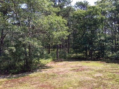 52 Pond View Dr, Oak Bluffs, MA 02557 - photo 3