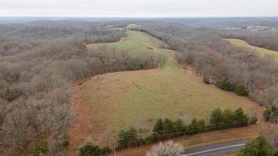 000-A Chadwick Rd, Chadwick, MO 65629 - photo 7