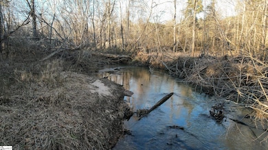03 Jefferson Davis Rd unit Tract C, Mountville, SC 29370 - photo 3