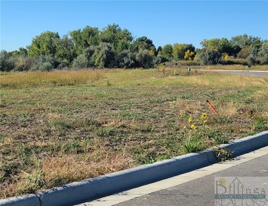 TBD Gayle Block 17 Lot 8 Dr, Billings, MT 59105 - photo 3