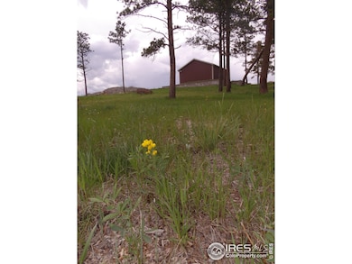 3434 Davis Ranch Rd, Bellvue, CO 80512 - photo 2