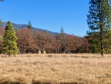 Sunny meadow looking back to home