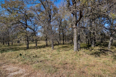 Lot 194 Grand Harbor Blvd, Chico, TX 76431 - photo 2