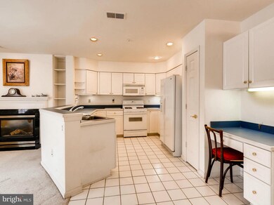 403 Plumbridge Ct unit 102, Lutherville Timonium, MD 21093 - photo 5