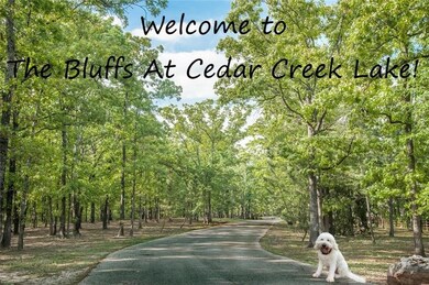 6743 Indian Springs, Malakoff, TX 75148 - photo 2