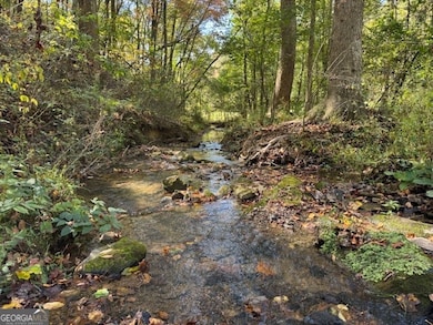 0 John Call Rd, Ellijay, GA 30536 - photo 7