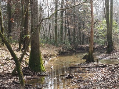 Beautiful hardwoods