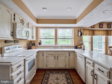 5054 Spring Branch Blvd, Dumfries, VA 22025 - photo 4