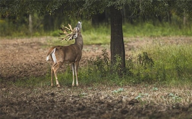 18618 Us Highway 43, Linden, AL 36748 - photo 4