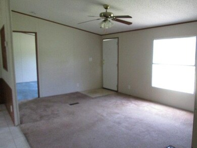 1163 Jim Truesdell Rd SE, Darien, GA 31305 - photo 6