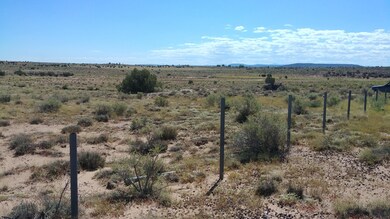 fence line 40914181113b