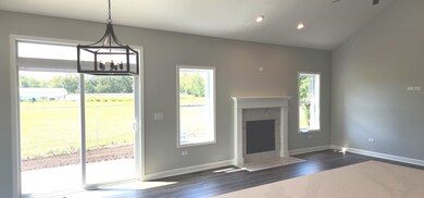 24415 W Quail Dr, Channahon, IL 60410 - photo 6