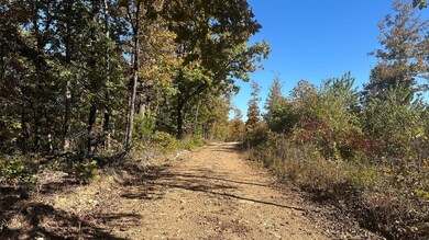 000 Schales Rd, Poughkeepsie, AR 72569 - photo 2